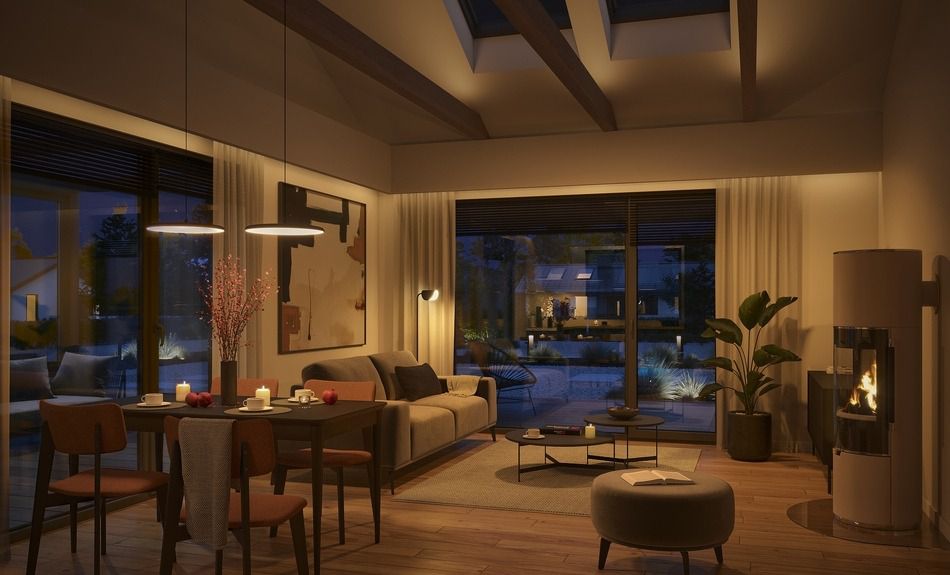 Odoo • A picture with a caption