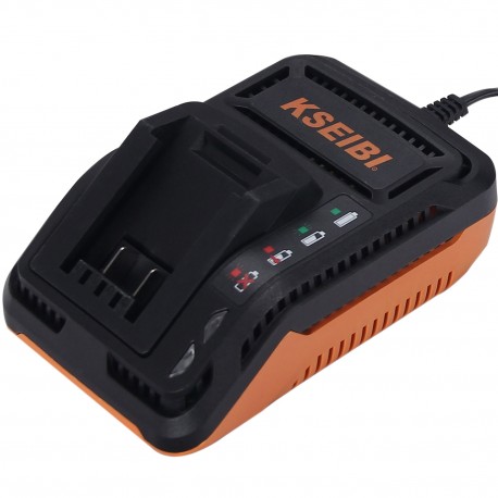 OTE-X00-CN Rapid Charger 20V max