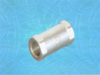 FIT-X00-CN vertical check valve