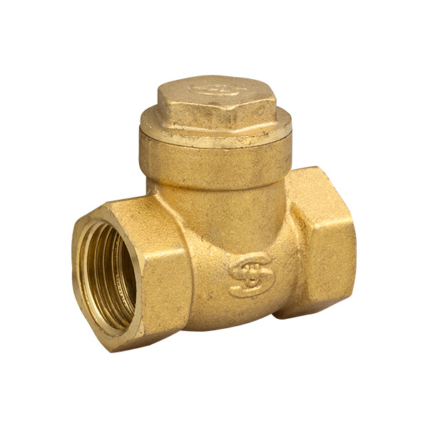 FIT-X00-CN GA-1828 Check valve (F1 / 2-F2 &quot;)