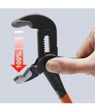 PLI-X00-US Хэрээн хошуут түргэн бахь 10" 250мм